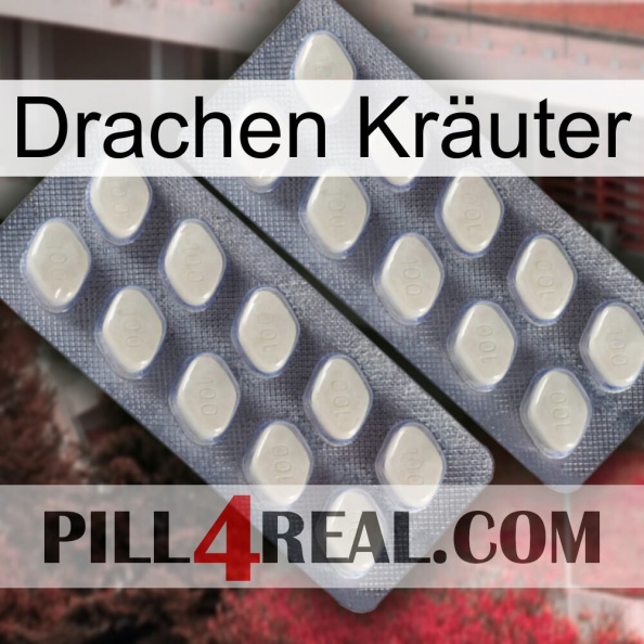 Drachen Kräuter 07.jpg